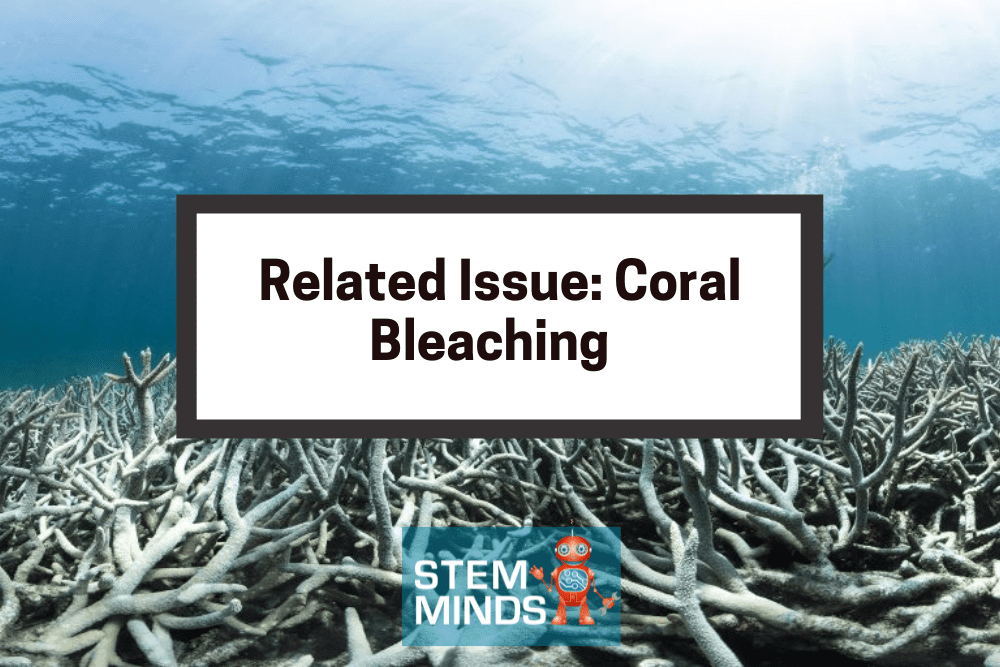 Related Issue: Coral Bleaching