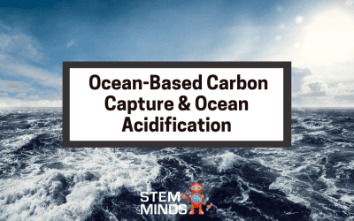 Ocean-Based Carbon Capture & Ocean Acidification/Coral Bleaching 