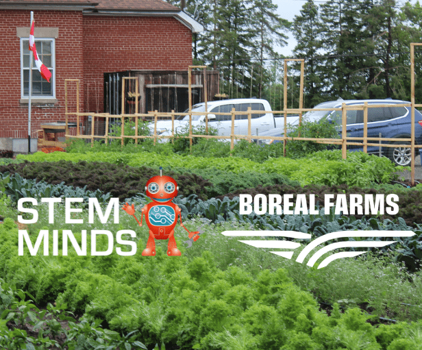 STEM Minds and Boreal Farms Partnership: Agri Tech for the Community